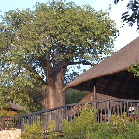 Adansonia Eco Lodge Мусина Екстериор снимка