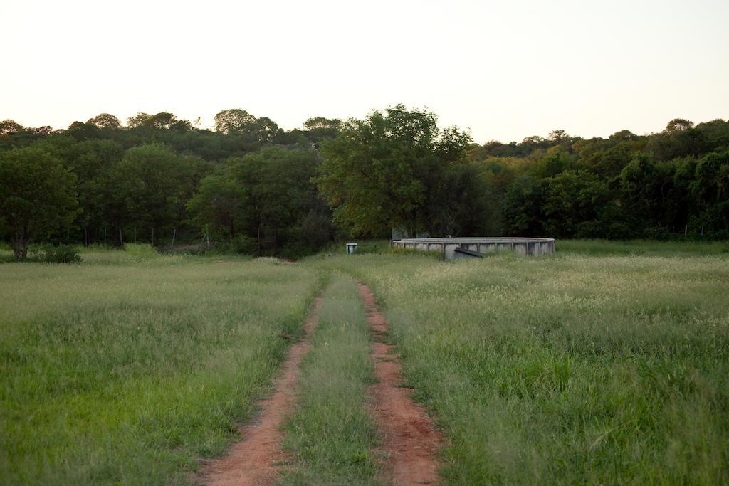 Adansonia Eco Lodge Мусина Екстериор снимка
