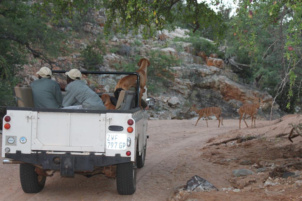 Adansonia Eco Lodge Мусина Екстериор снимка