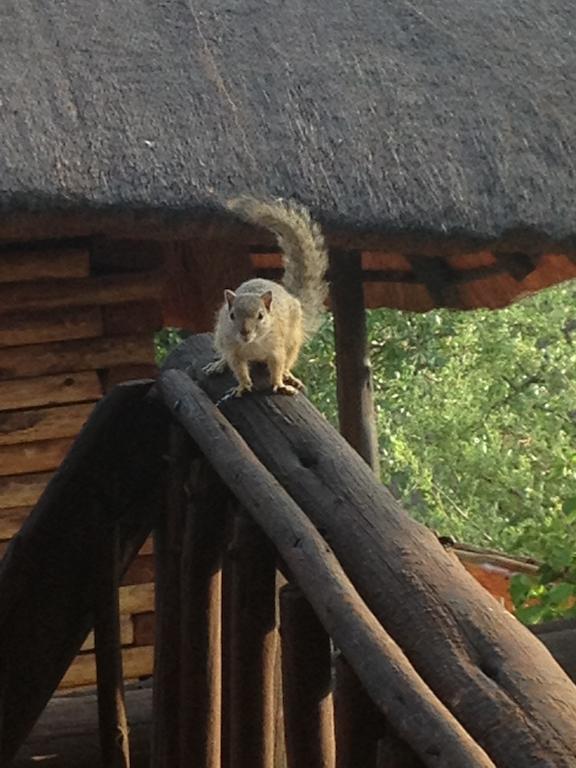 Adansonia Eco Lodge Мусина Екстериор снимка