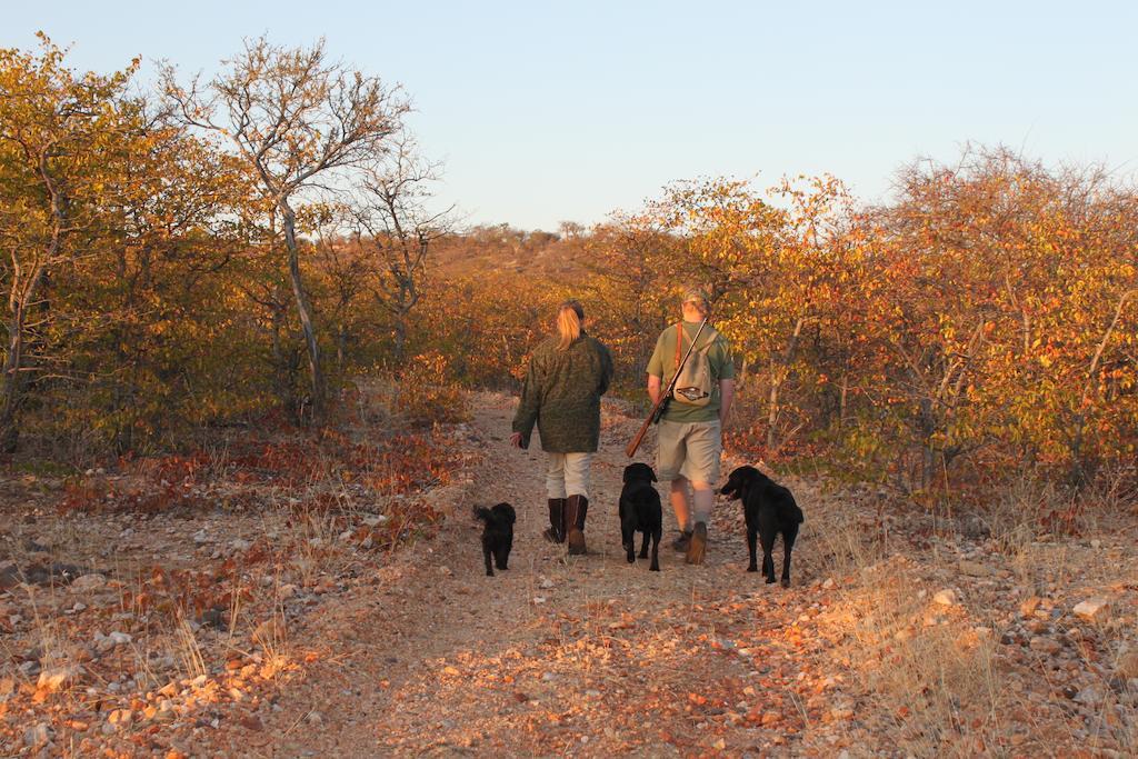 Adansonia Eco Lodge Мусина Екстериор снимка