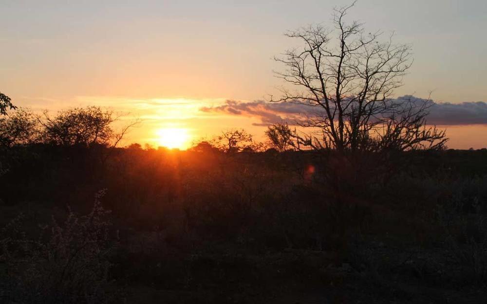 Adansonia Eco Lodge Мусина Екстериор снимка