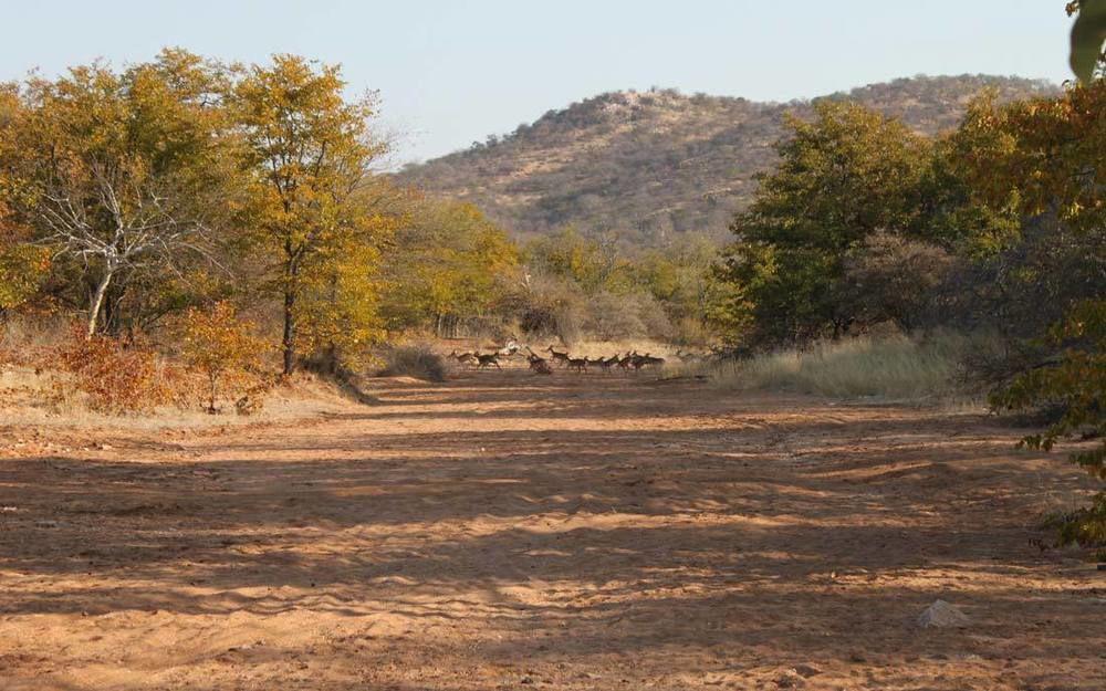 Adansonia Eco Lodge Мусина Екстериор снимка