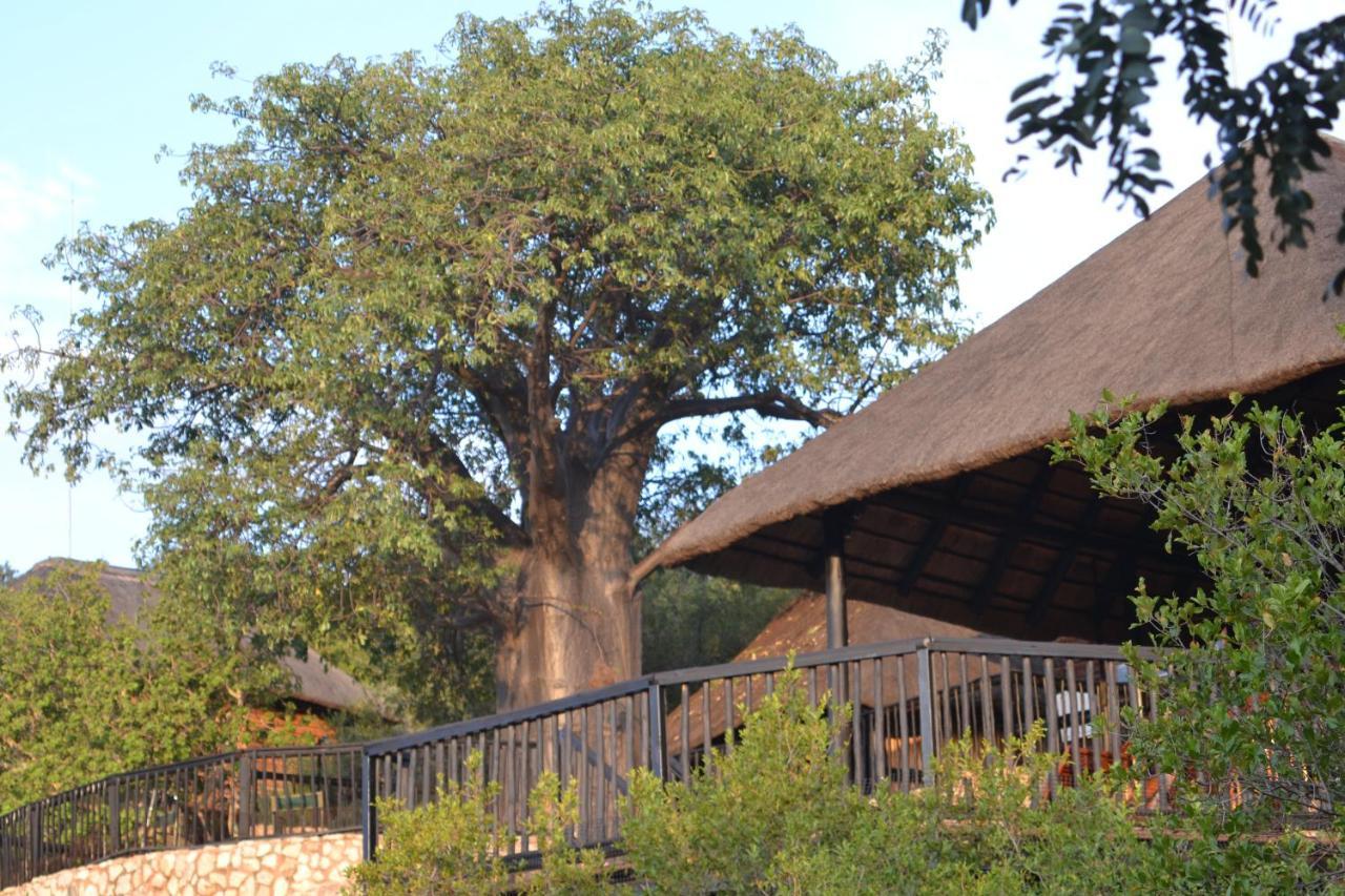 Adansonia Eco Lodge Мусина Екстериор снимка