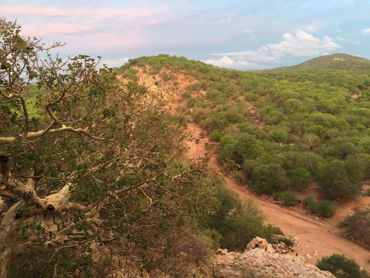 Adansonia Eco Lodge Мусина Екстериор снимка