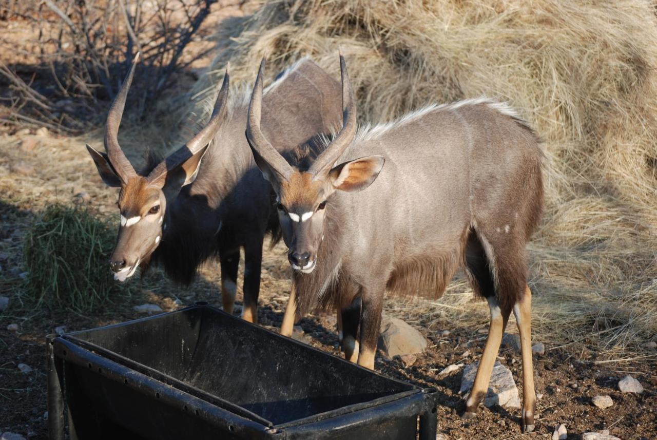 Adansonia Eco Lodge Мусина Екстериор снимка