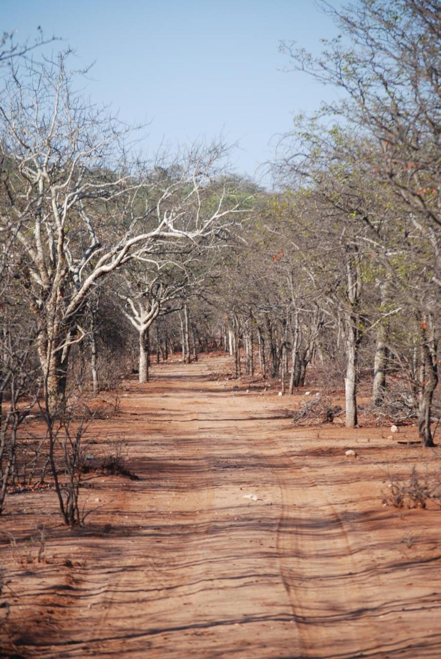 Adansonia Eco Lodge Мусина Екстериор снимка